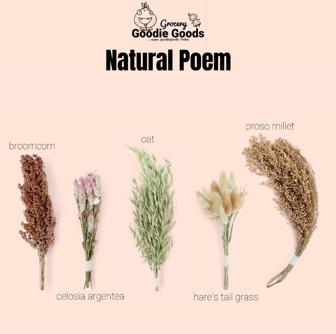 天然柔軟倉鼠寢具伴侶小動物棲息地裝飾適合敘利亞矮倉鼠沙鼠小鼠八齒鼠兔子或其他小型寵物