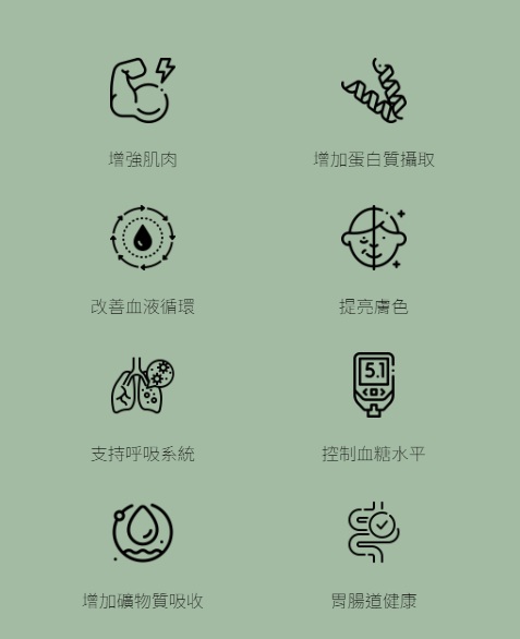  TRU PROTEIN 日本抹茶和虎乳芝混合 植物蛋白飲料 (450g)