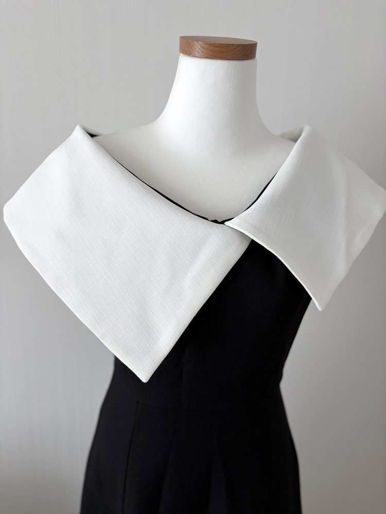 Celine Contrast Collar Dress