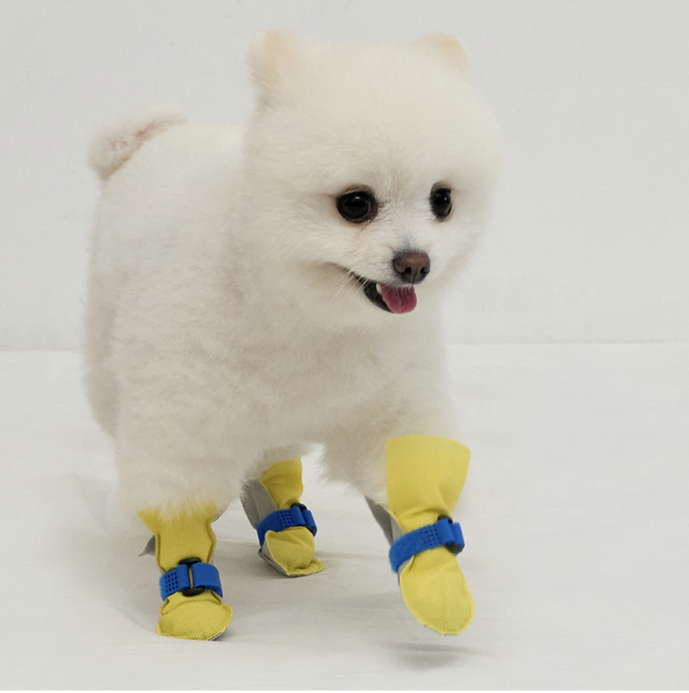 *Super Pet🇰🇷一次性防護狗鞋(80件裝)