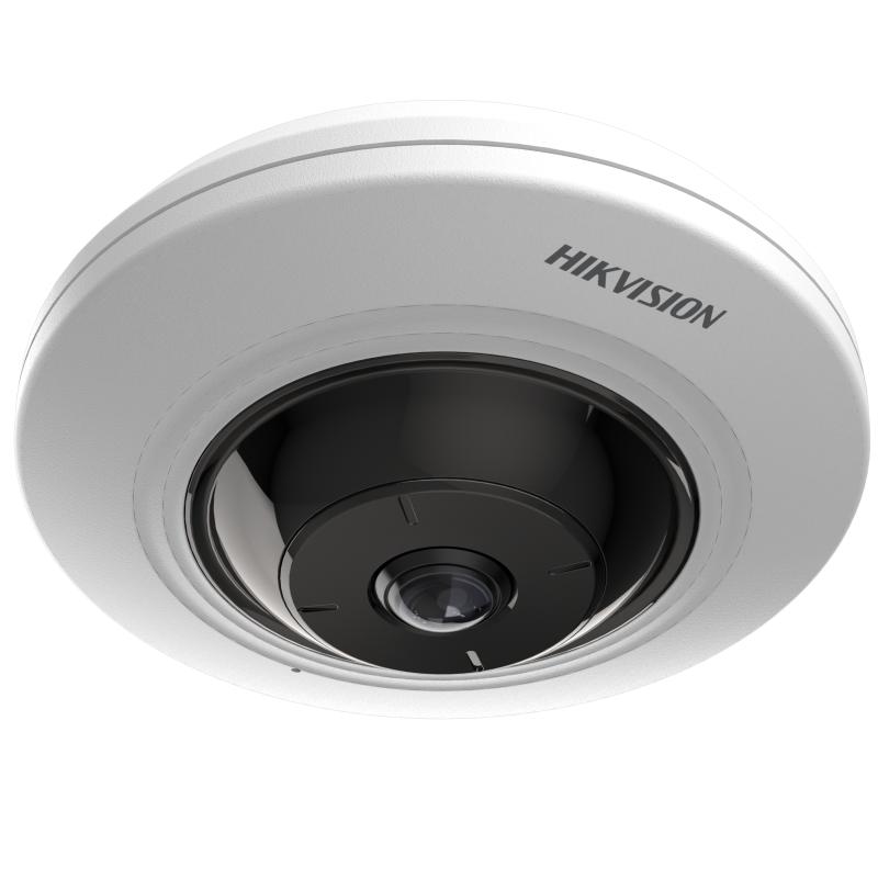 Hikvision 海康威視 5MP DS-2CD2955G0-ISU Fixed Fisheye Network Camera (香港行貨，一年保用)