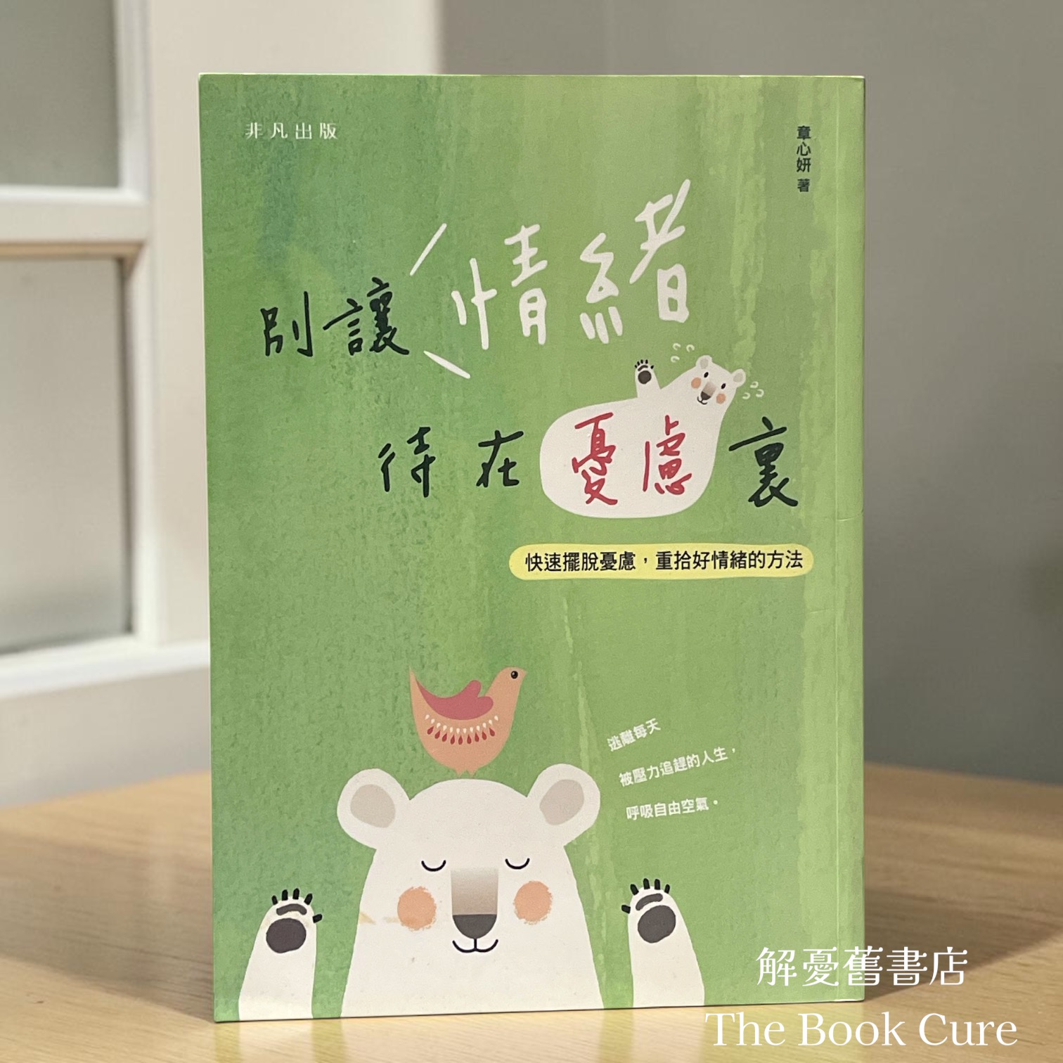 別讓情緒待在憂慮裏 / 章心妍 著