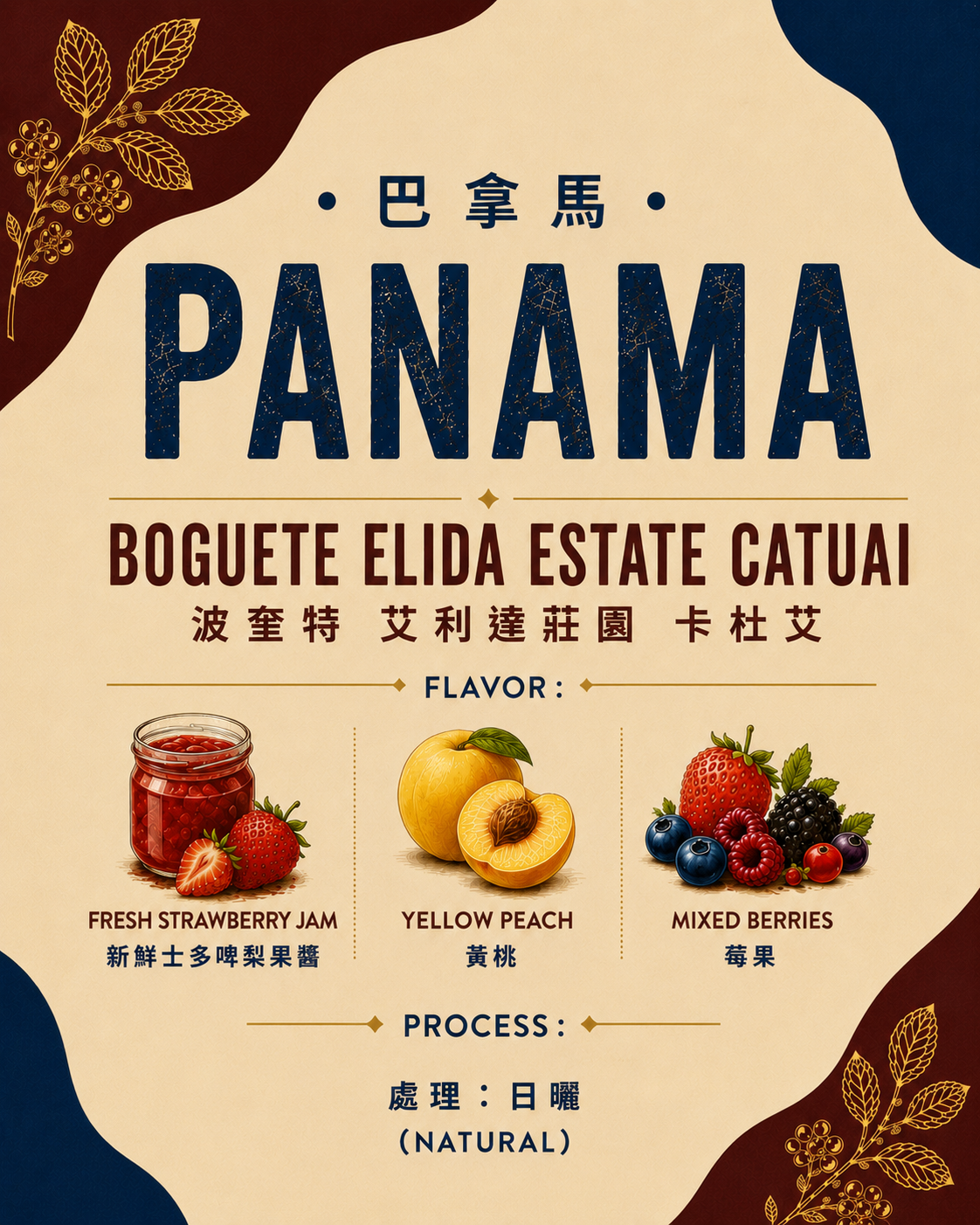【巴拿馬Panama】Boguete Elida Estate Catuai