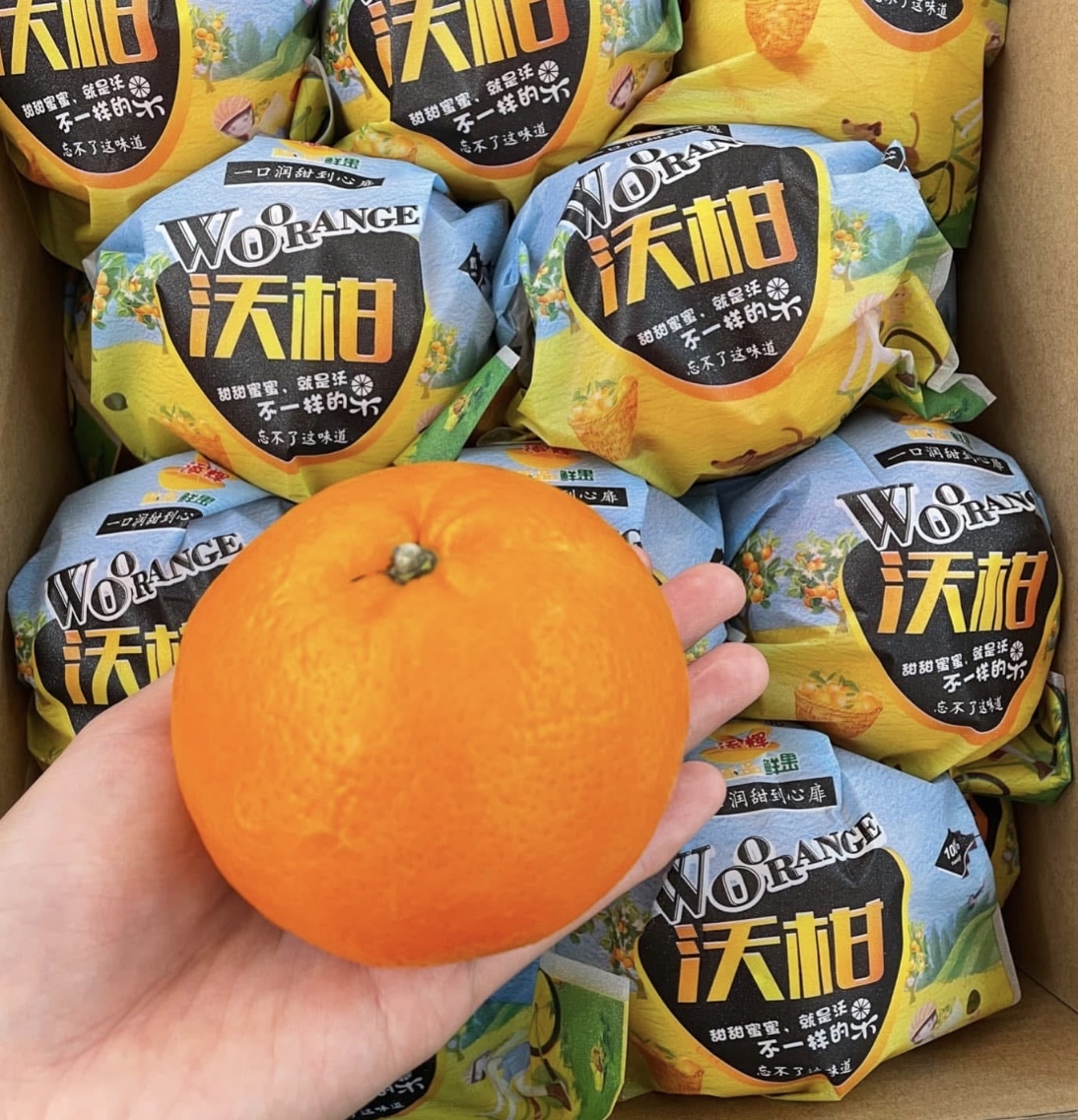 大裝中國沃柑禮盒（24個裝）$168/盒