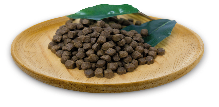 全犬野性配方—10KG