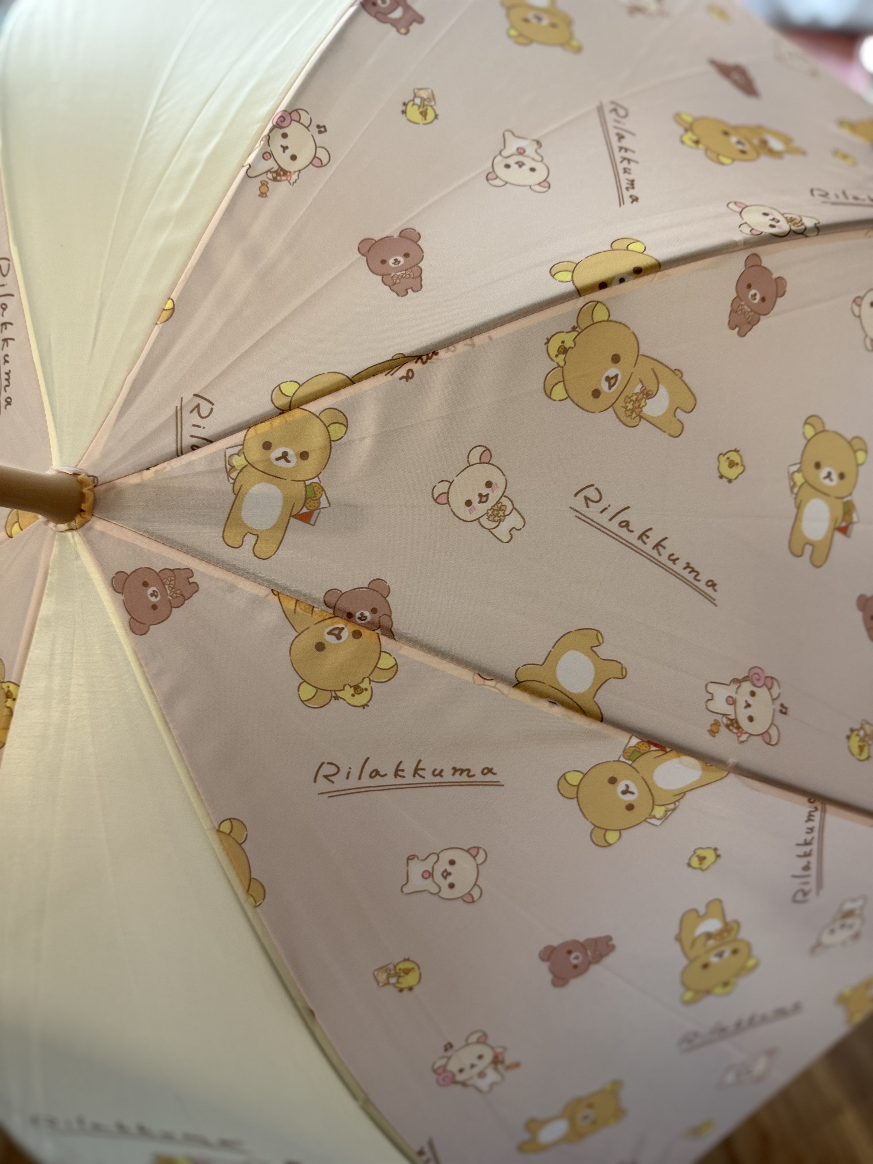 《現貨》RILAKKUMA 和你在一起系列長遮 現貨再上架！