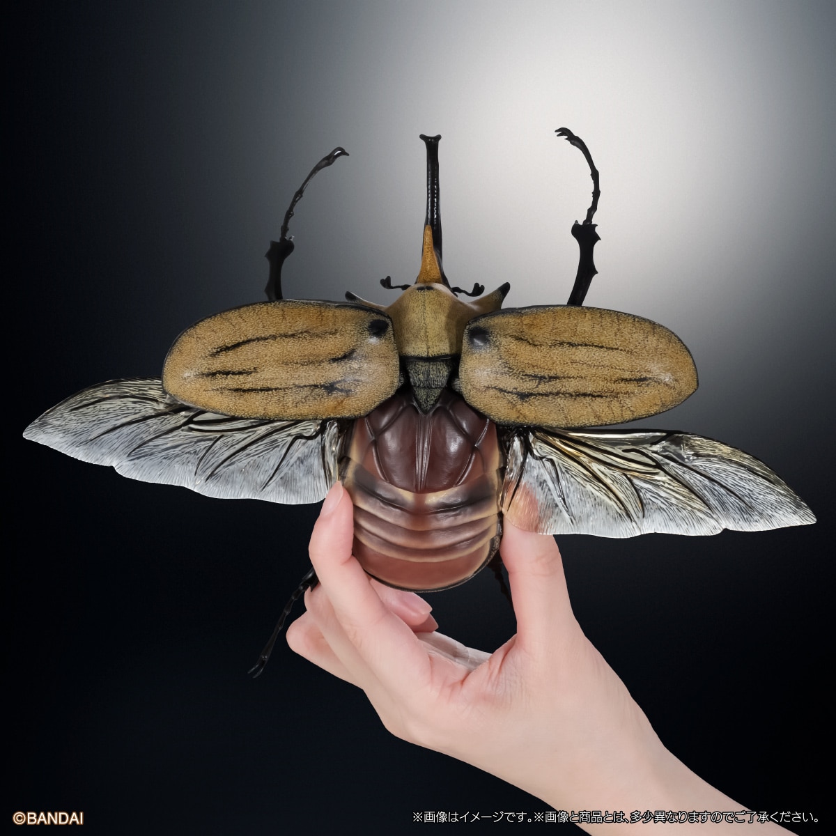 [GOL]THE DIVERSITY OF LIFE ON EARTH ADVANCE BEETLE 04 DISPLAY STAND & BARK PEDESTAL (MEDIUM) SET