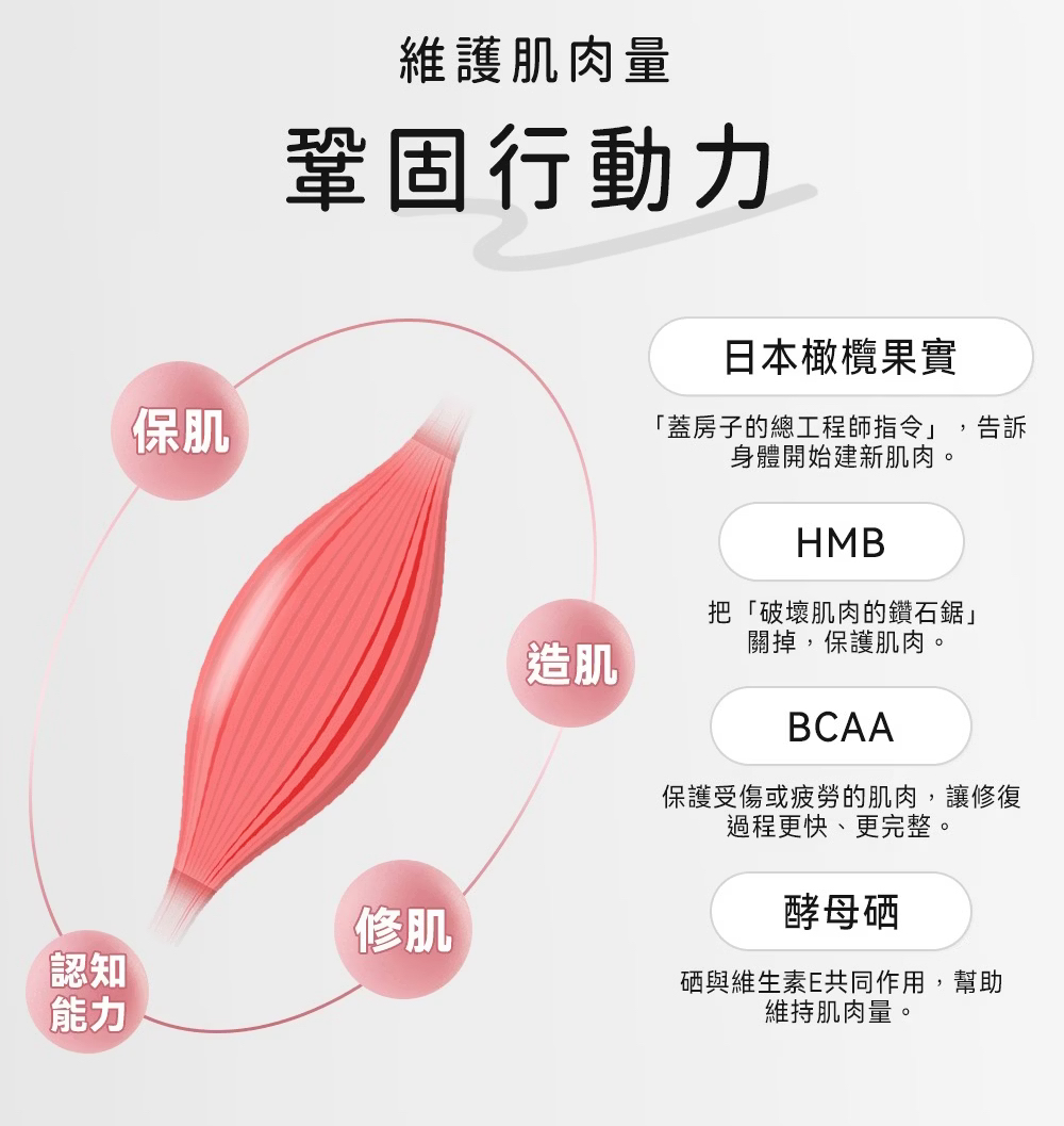 台灣動物醫院販售-肌肉大師保健膠囊