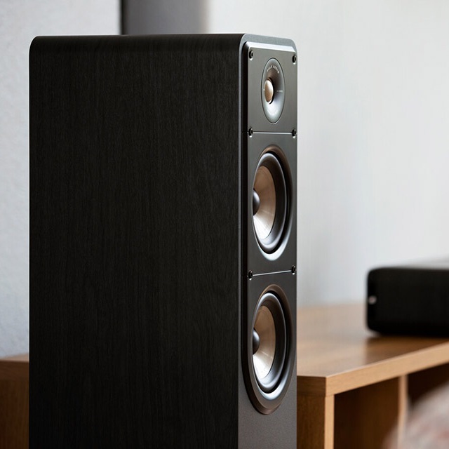 Polk Audio ES50 Floorstanding LoudSpeakers (Pair)
