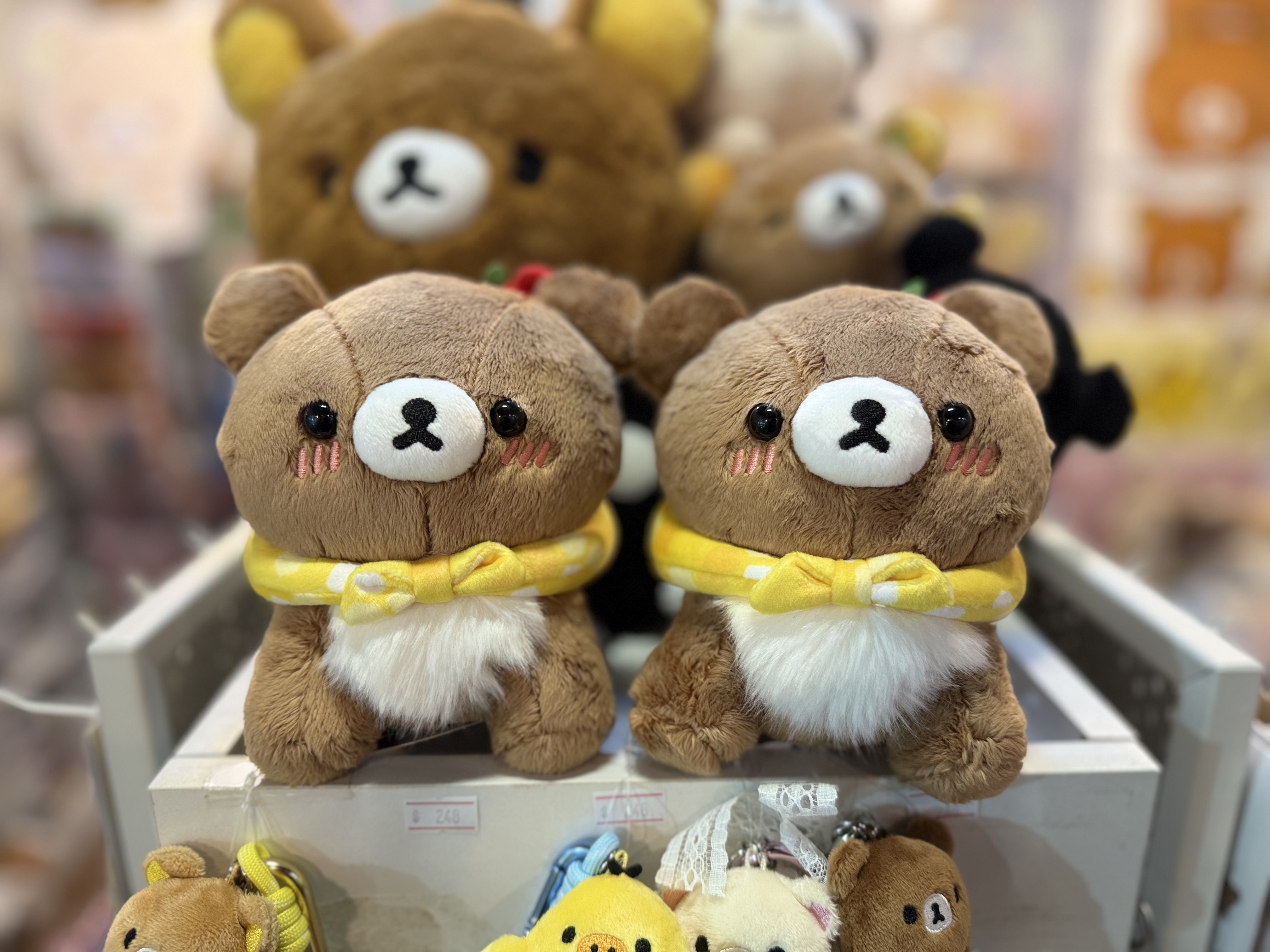 《現貨》全新日本小熊10週年紀念巡迴pop up店限定小熊探險隊系列爬爬公仔