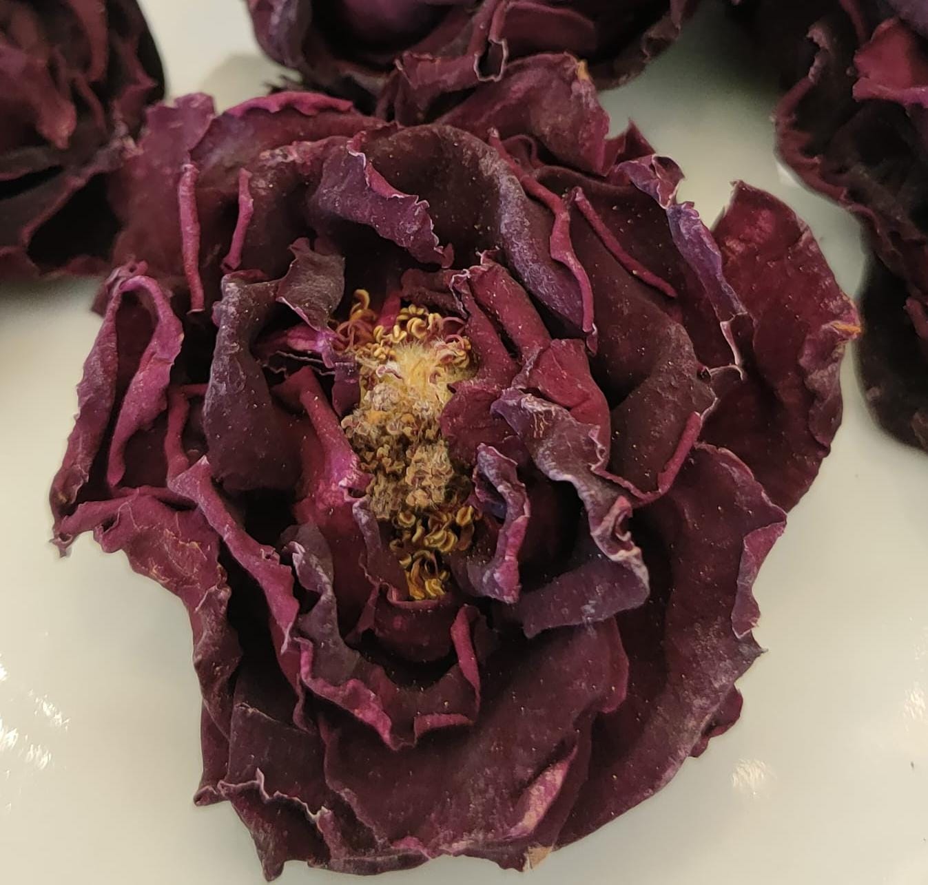 <墨玫瑰>有機種植,天然生曬- 沖飲-平衡內分泌,疏肝解鬱,改善口臭,治乳房脹痛