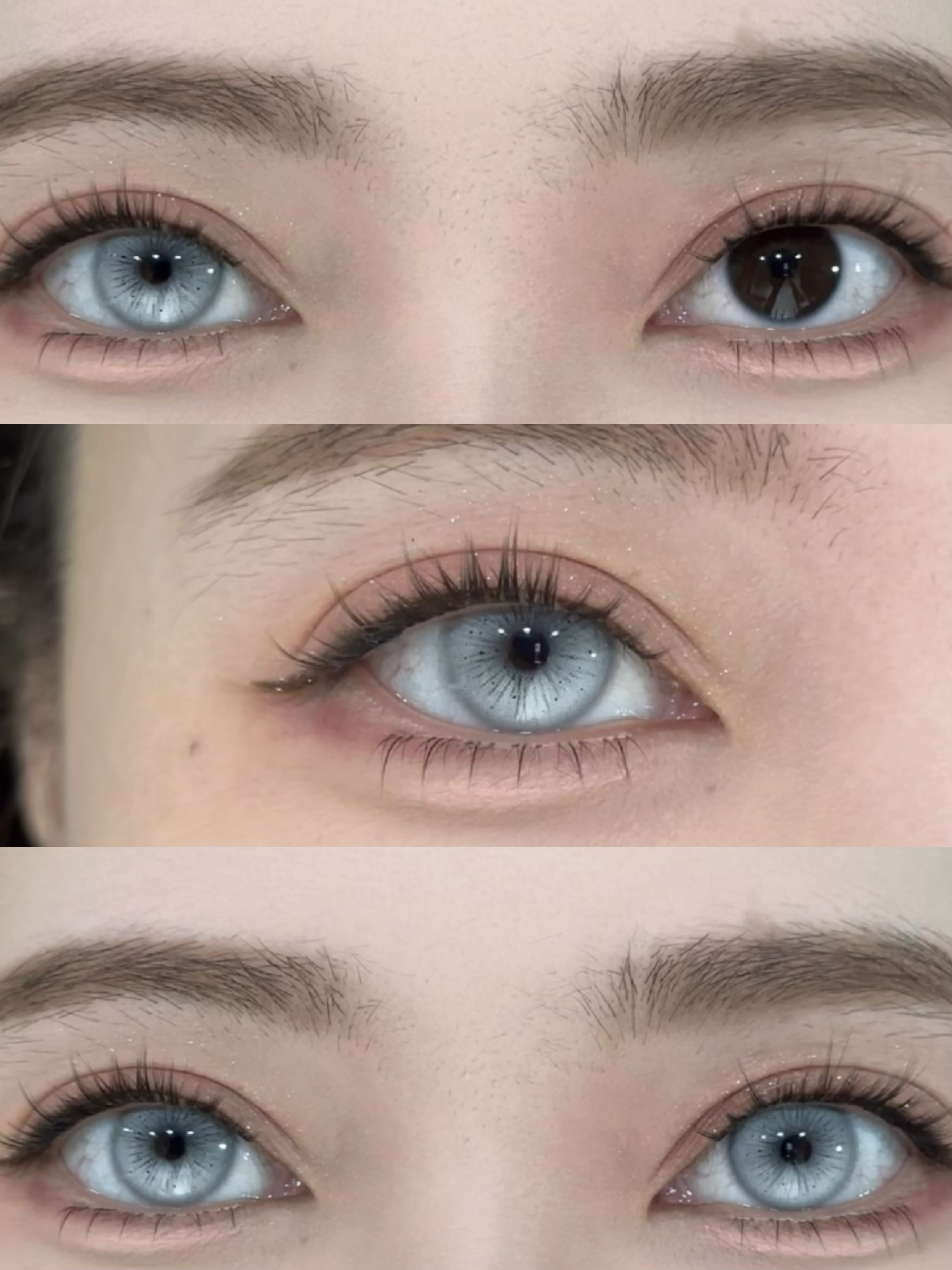 Serltyca 日拋6片裝 調色盤系列