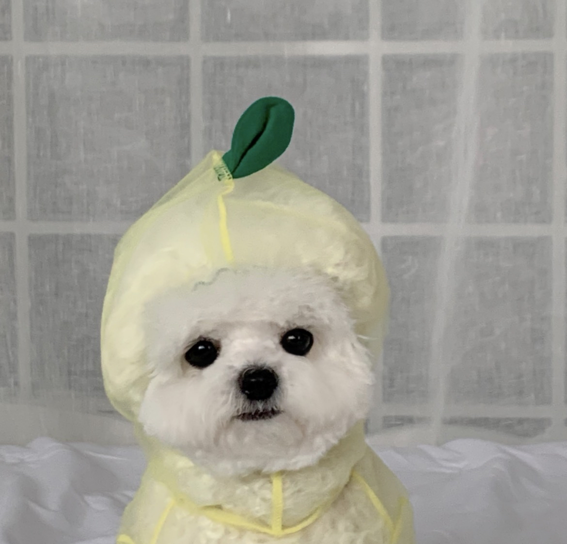 韓國🇰🇷水果造型防蟲衫