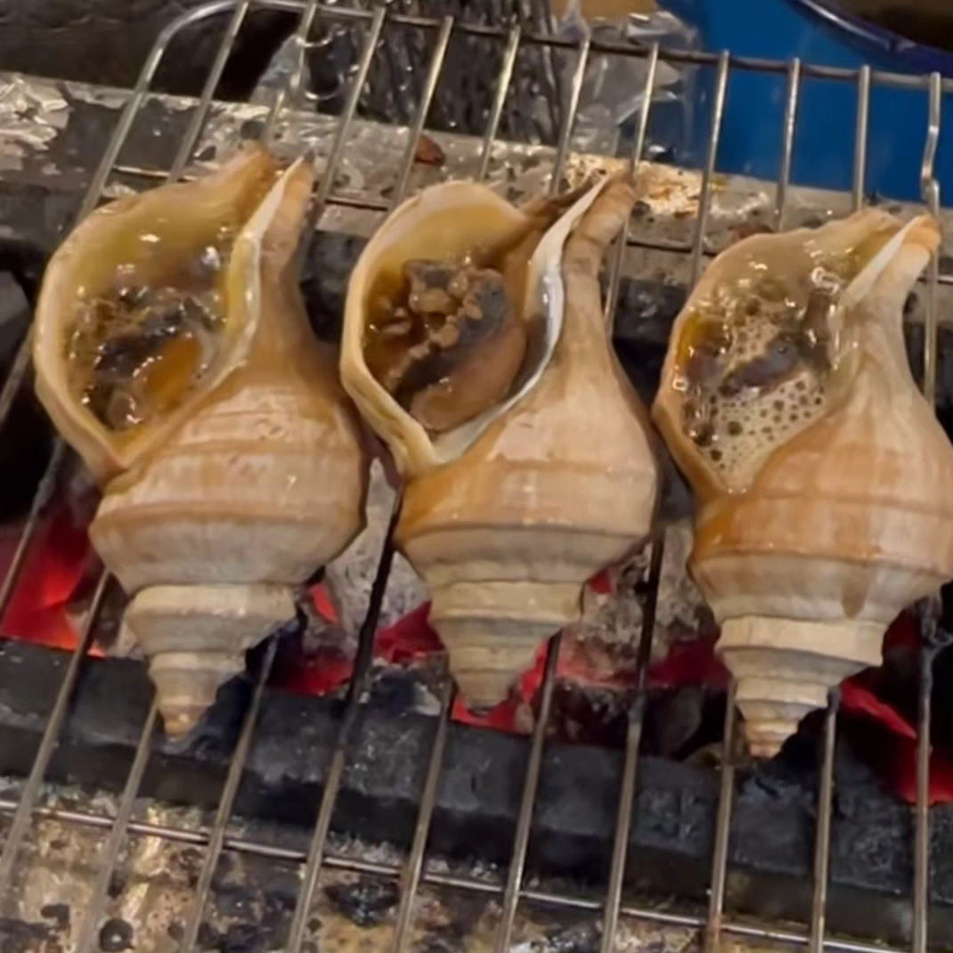 🇯🇵 活日本茶螺 (一般香港夏季有供應)