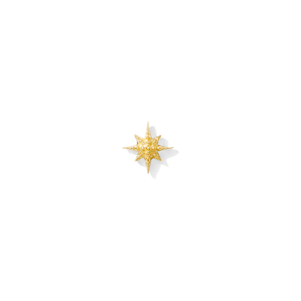 Nautical Star Pin
