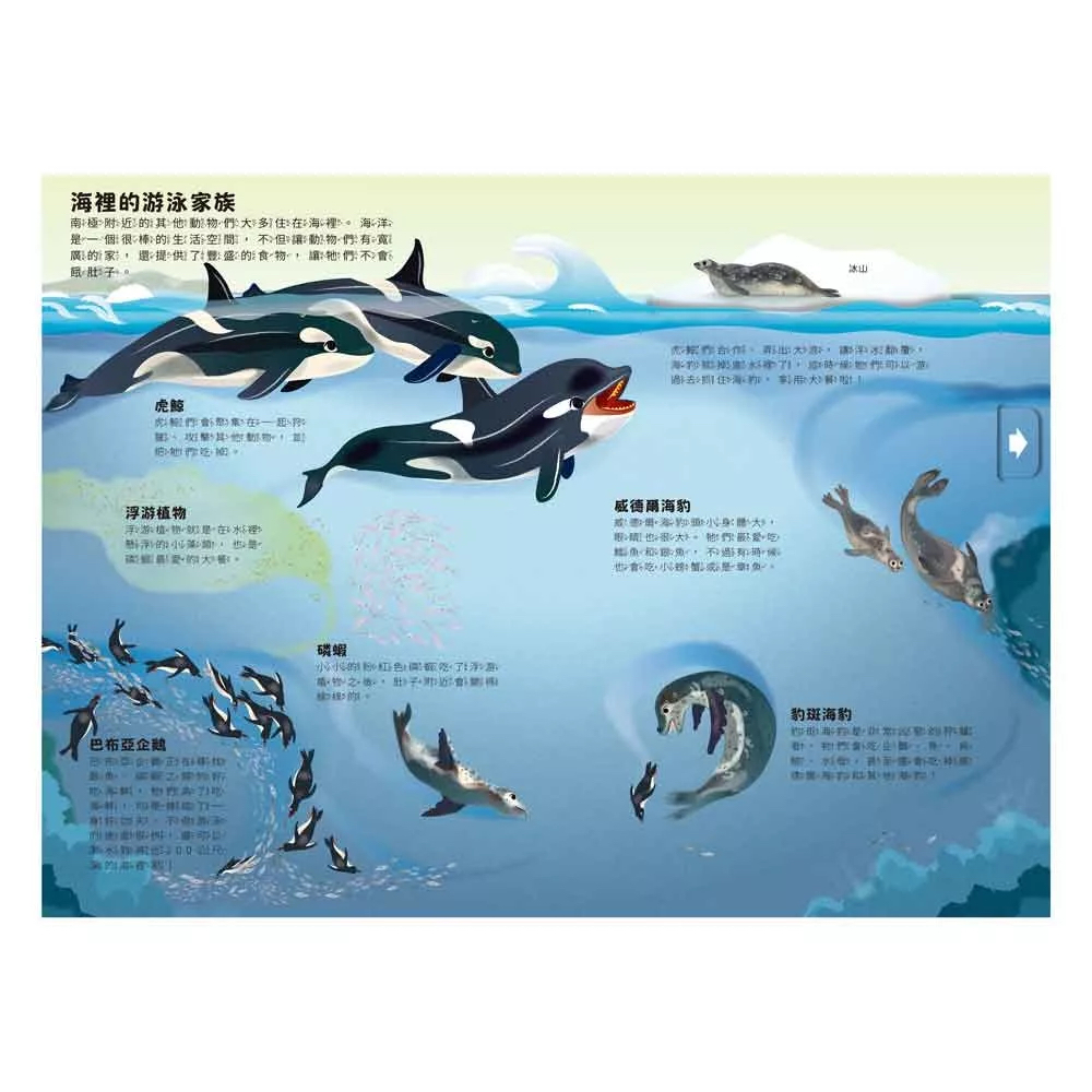 禾流 小小知識家動手大發現：冰雪動物AMAZING！