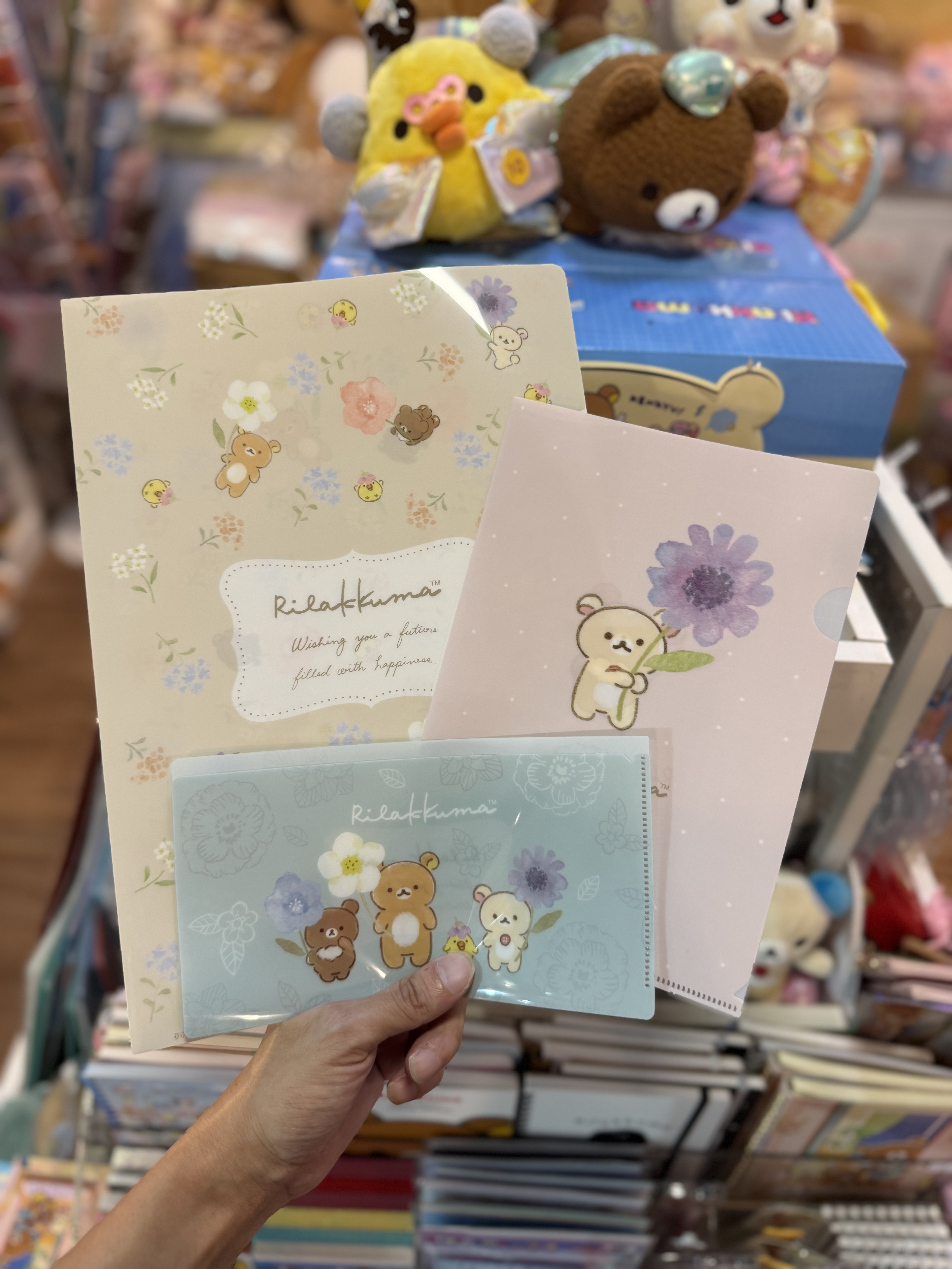 《現貨》全新日本郵便局限定 Rilakkuma A5+A4file+收據袋