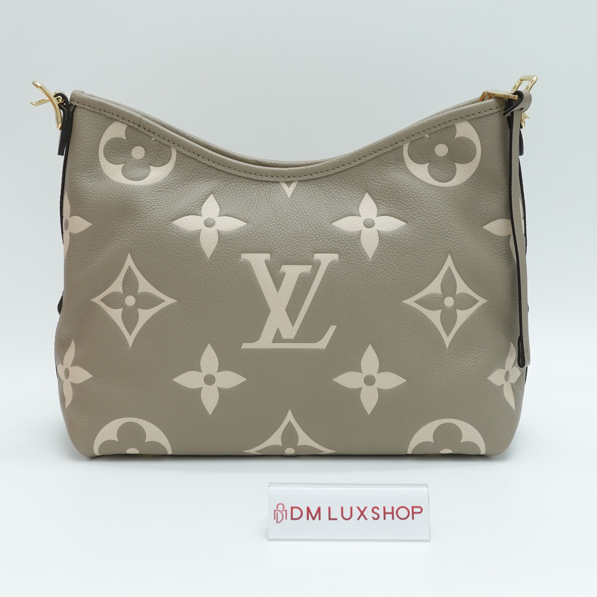 LV Bicolour CarryAll PM