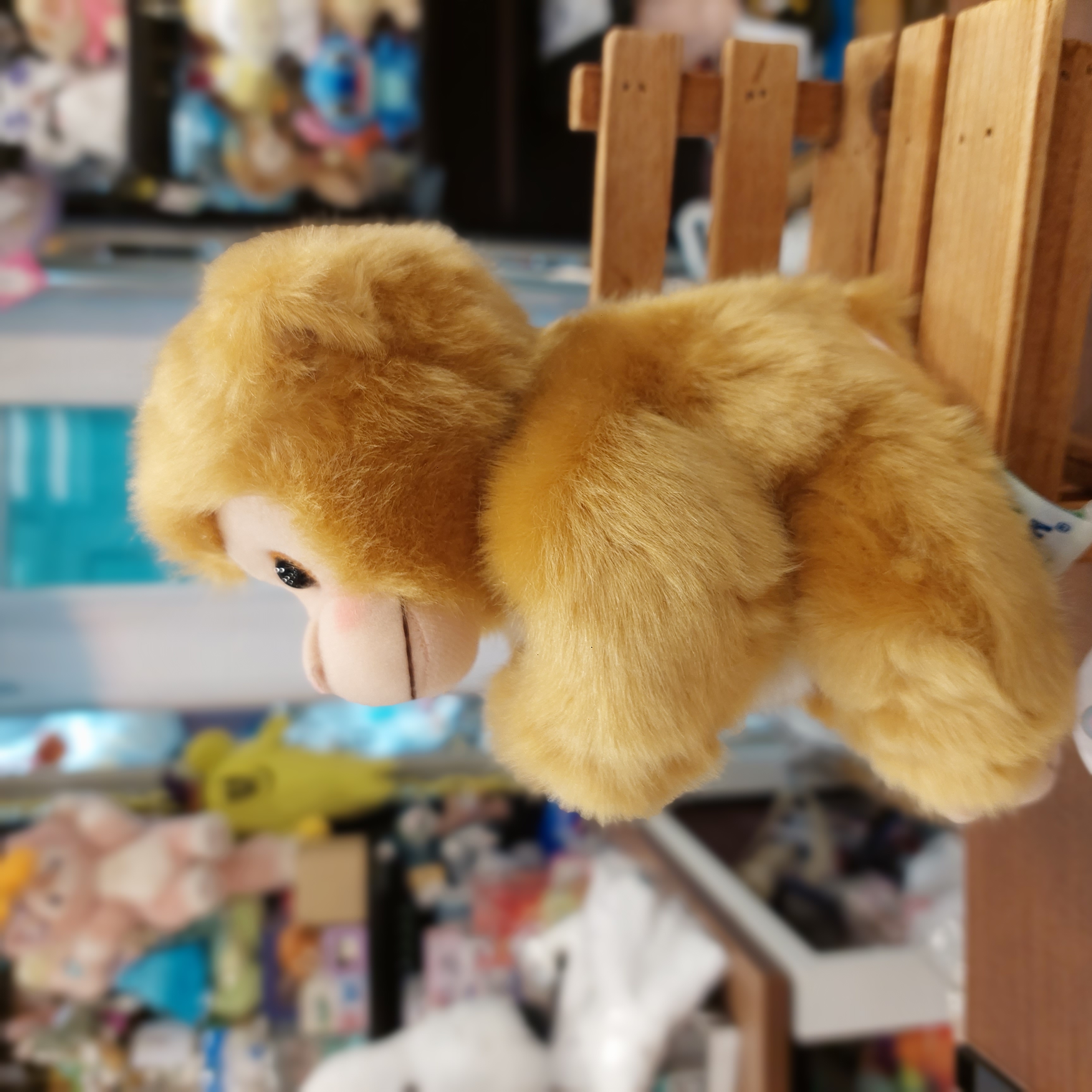 市川動物園限定 人气馬騮仔"パンチくん  Panchi君 M號小公仔  全高約21cm