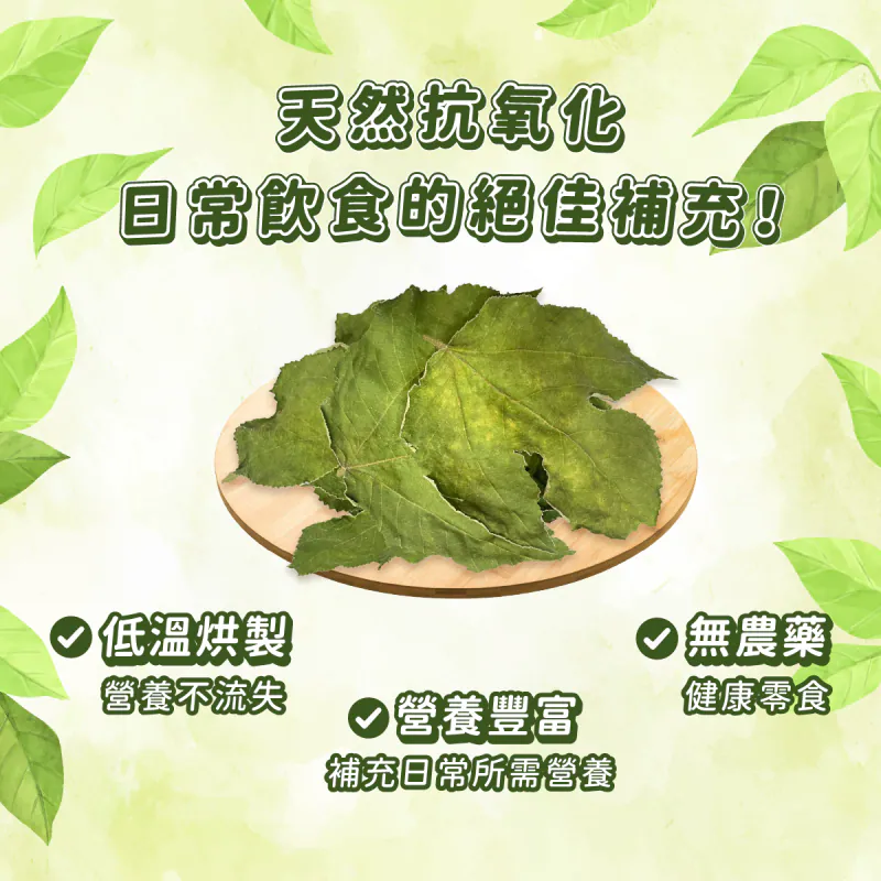 台灣愛米可緹 構樹葉 - 10g