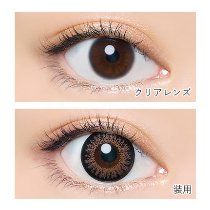 AngelColor Bambi Series - Chocolat (1day/10P)