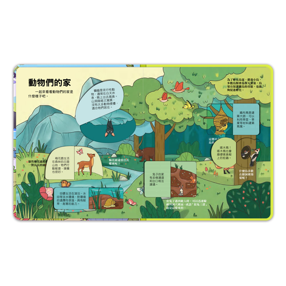 📚預訂 台灣直送📚百問百答圖解翻翻書-揭祕動物