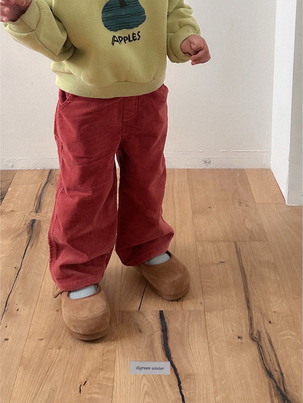 Digreen | Velveteen Pants