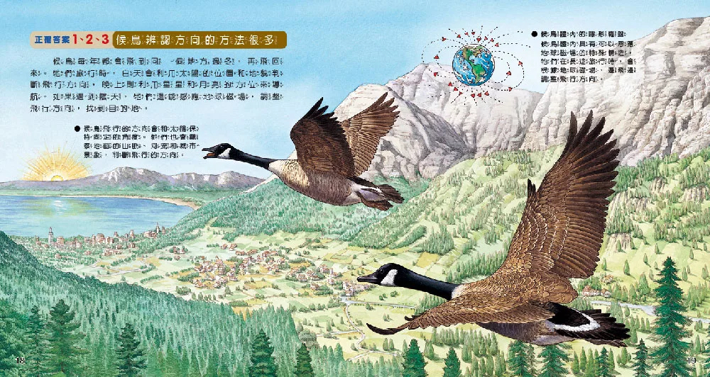 小牛頓 WOW原來是這樣：動物冷知識