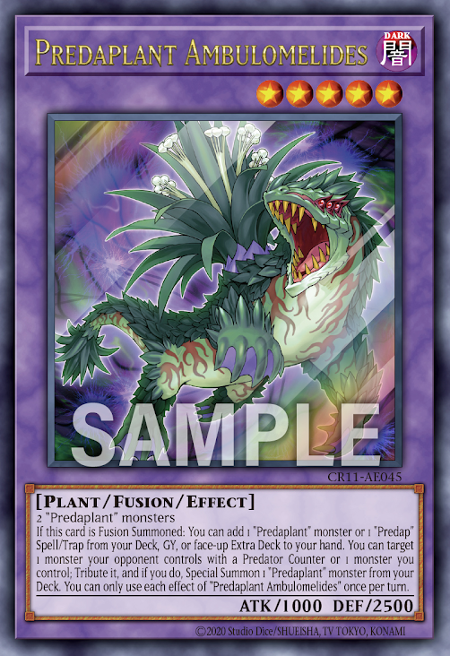 CR11-AE045 (SER)Predaplant Ambulomelides(捕食植物 鳳梨走鯨)
