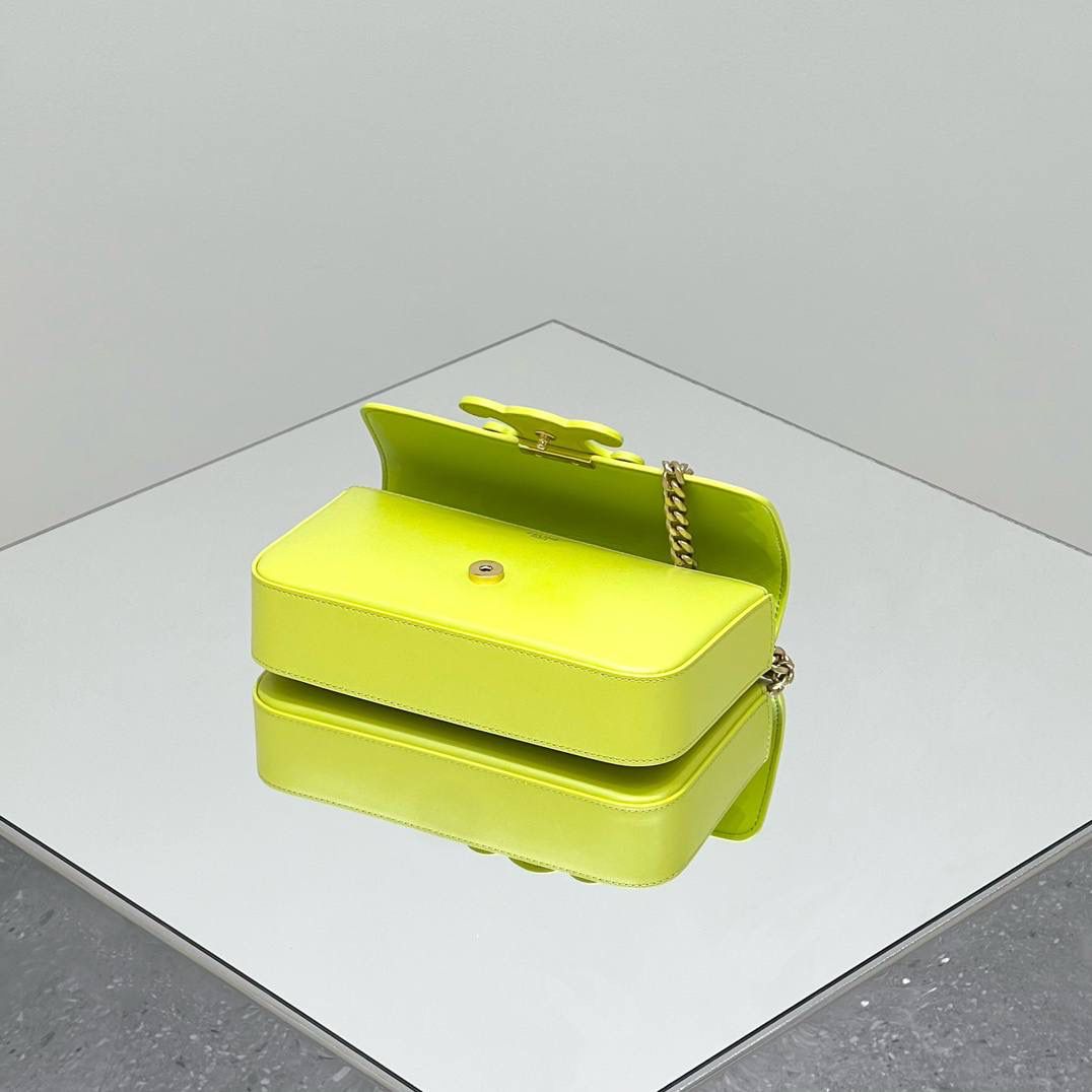 🔥大货实拍图 𝗖𝗘𝗟𝗜𝗡𝗘 ♥ 𝗧𝗥𝗜𝗢𝗠𝗣𝗛𝗘浮雕腋下包 型号：199243 尺寸：20.5*11.5*4cm