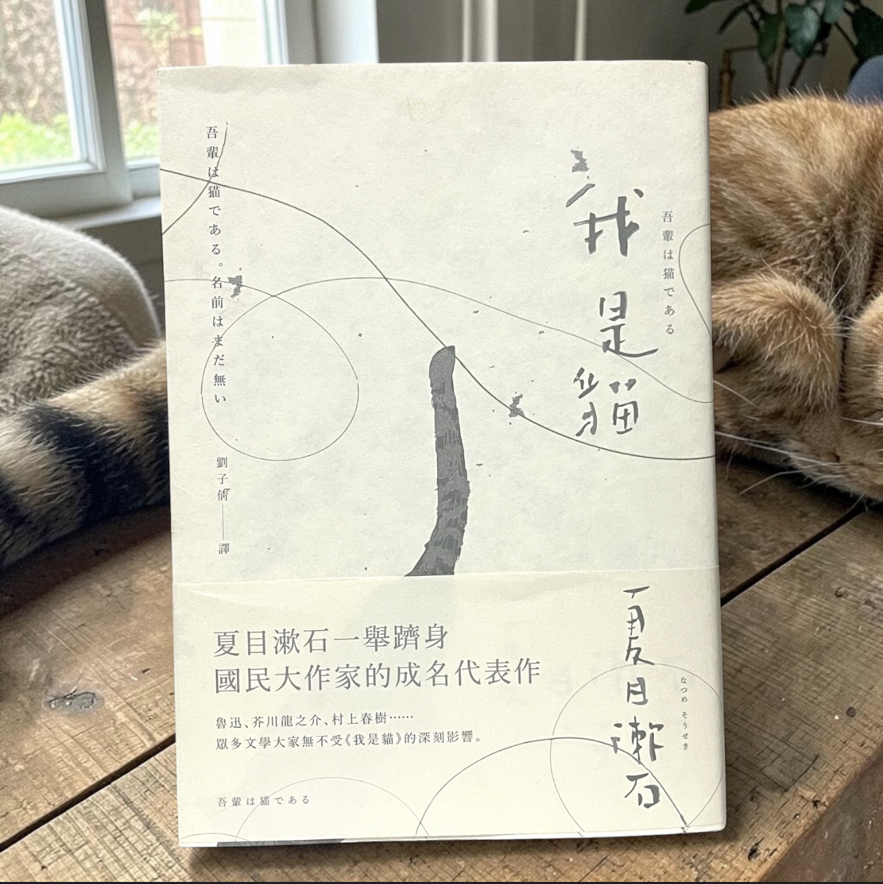 我是貓 / 夏目漱石 著