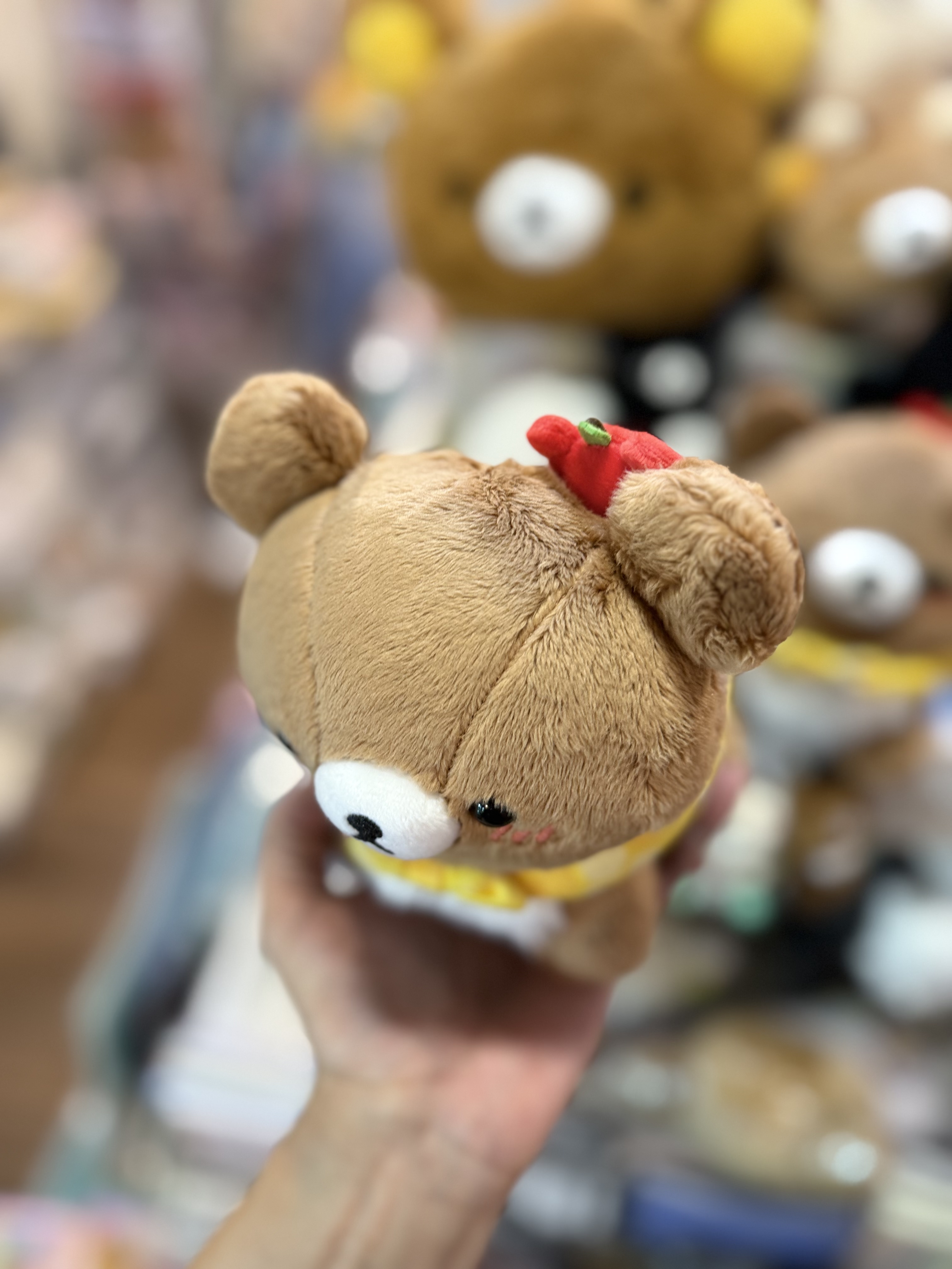 《現貨》全新日本小熊10週年紀念巡迴pop up店限定小熊探險隊系列爬爬公仔
