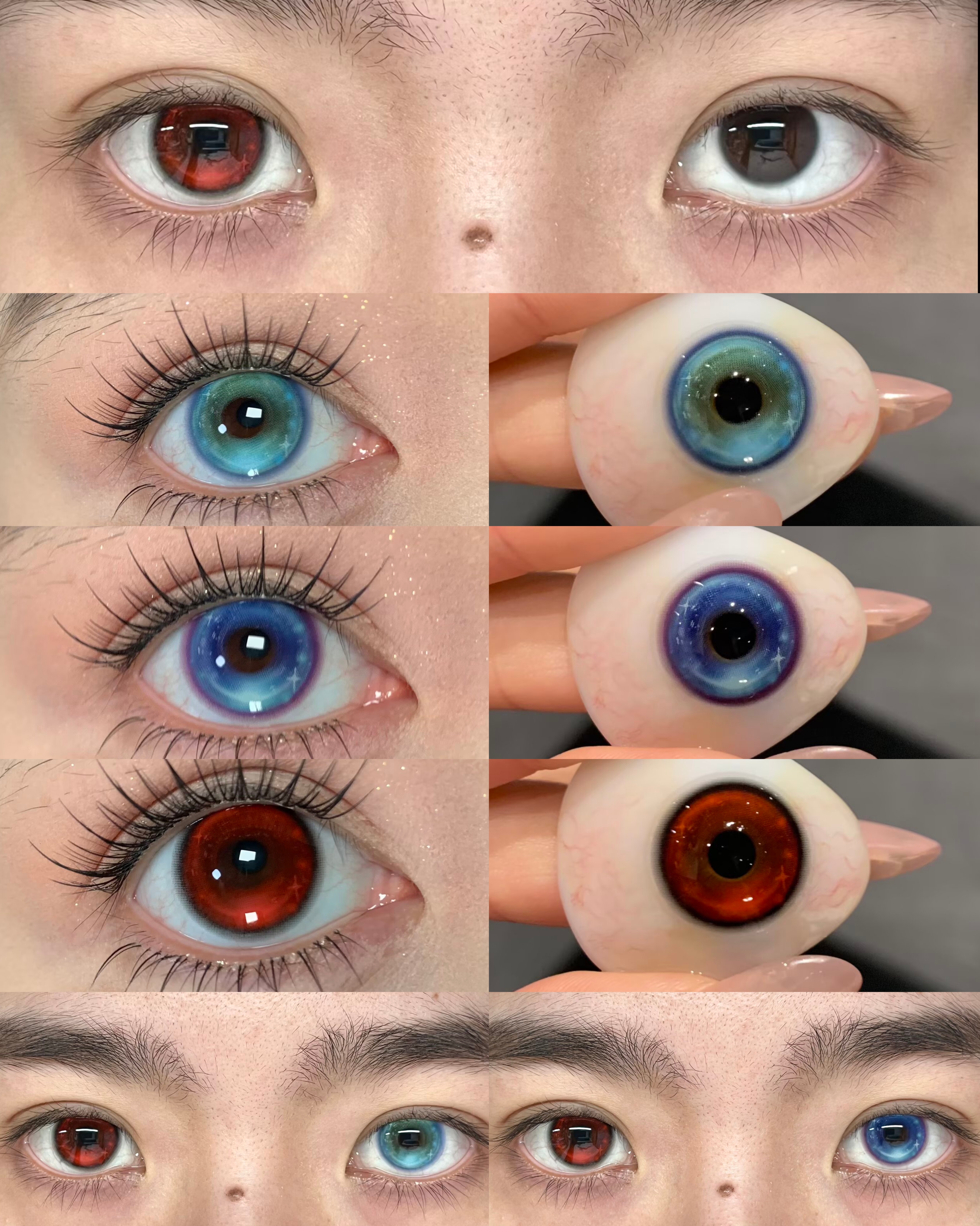 EggUncle 半年拋 玻璃紙森林/失焦庇護所/褪色童話書