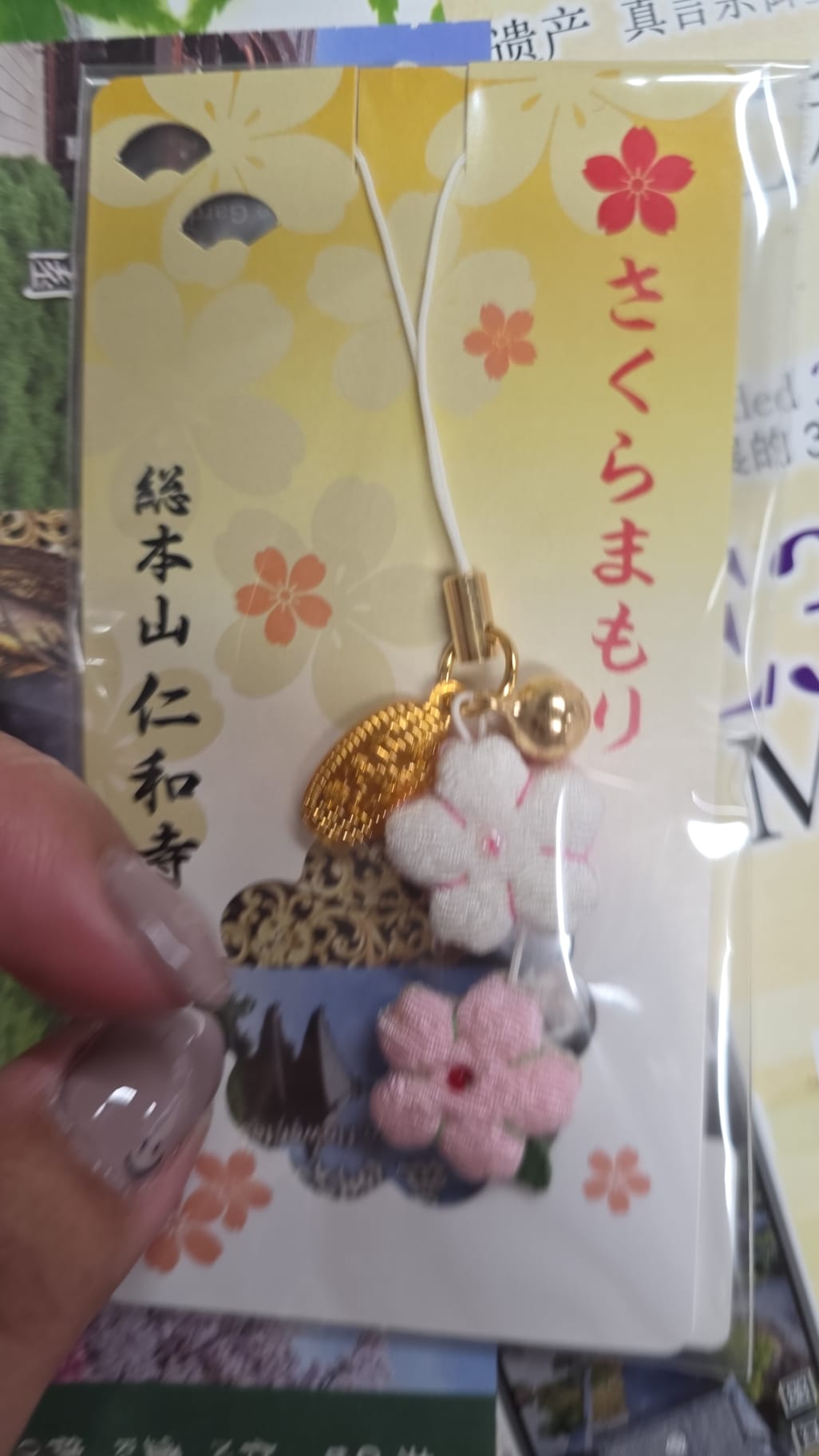 仁和寺 紅白櫻守