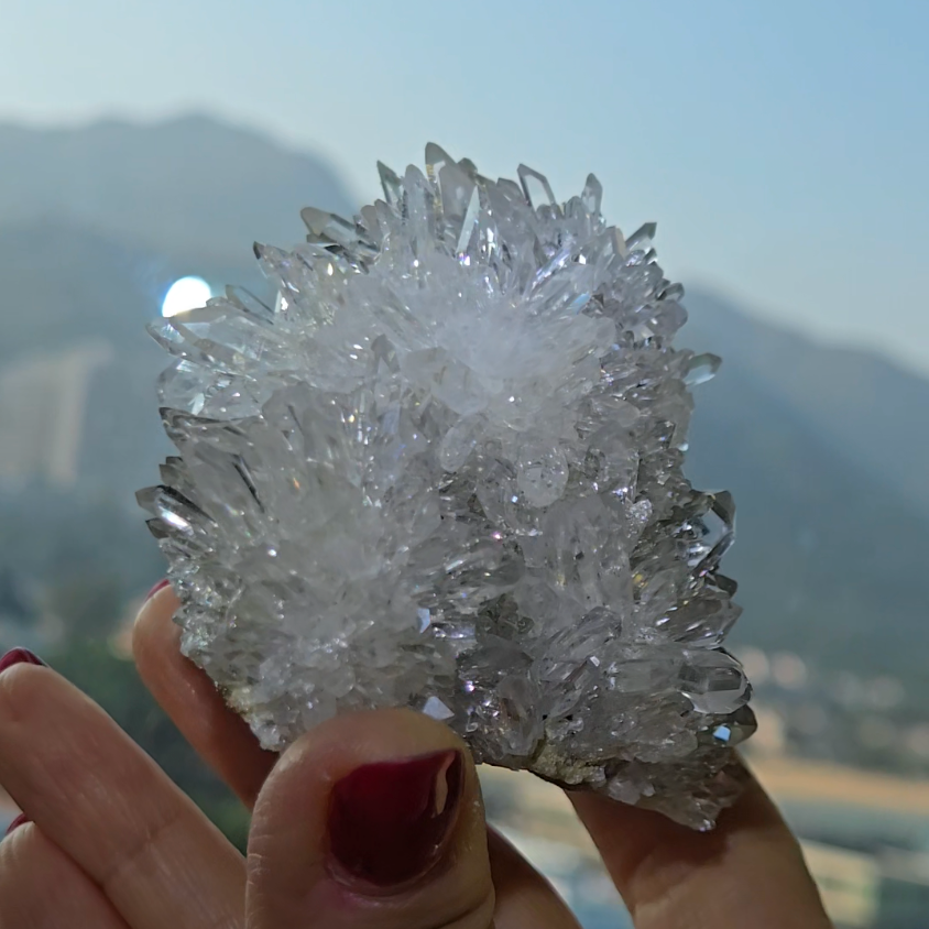 Chrysanthemum needle quartz with flower buds - CQ477