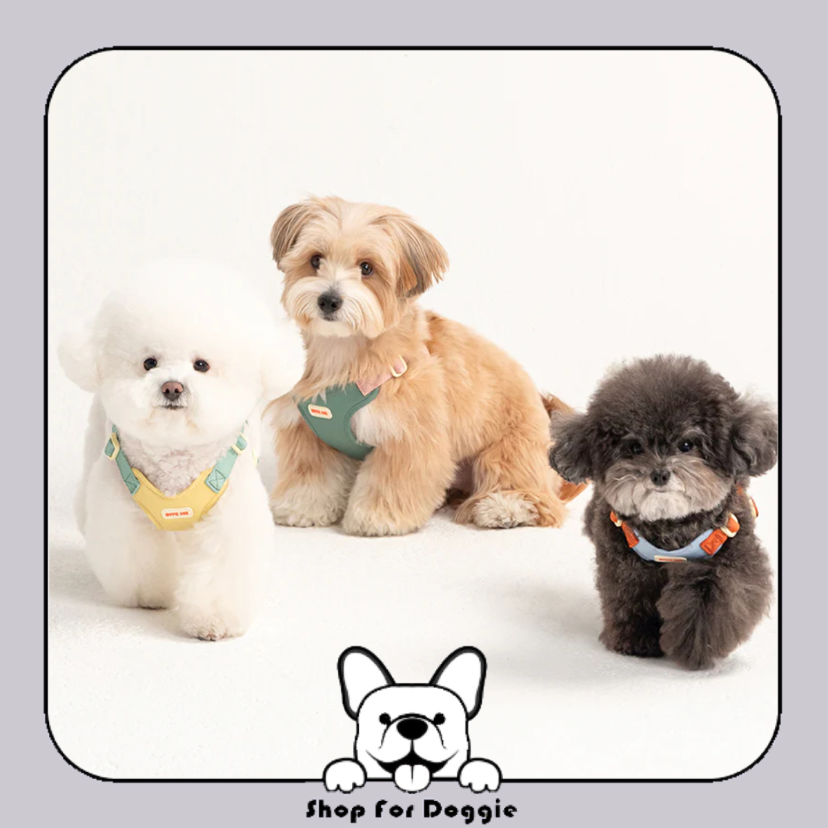 [訂貨3-4星期] 韓國 Bite Me Comfort Harness v2 胸背帶