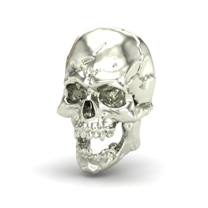 Jaw Motion Skull