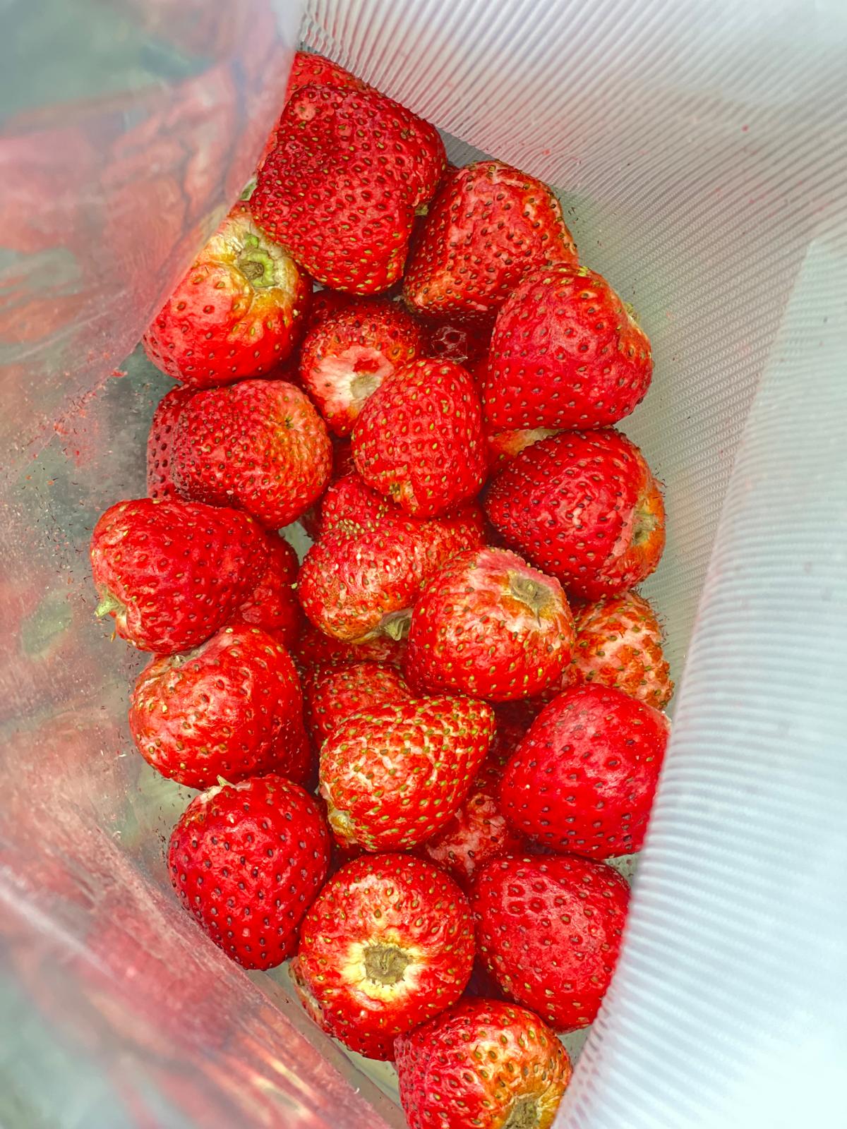 士多啤梨凍乾(酵素種植) 18g