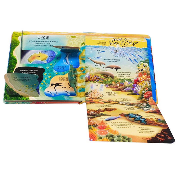 🔸預購貨品🔸Look inside-珊瑚礁