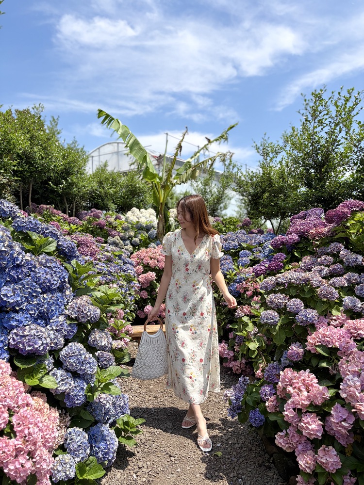 Premium Embroidered Floral Dress