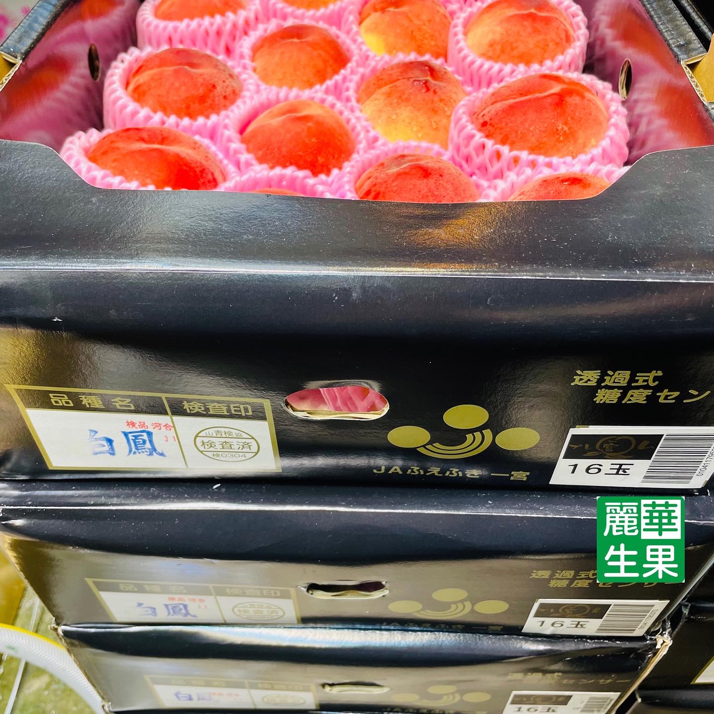 山梨一宮「Premium」水蜜桃＄135/2個