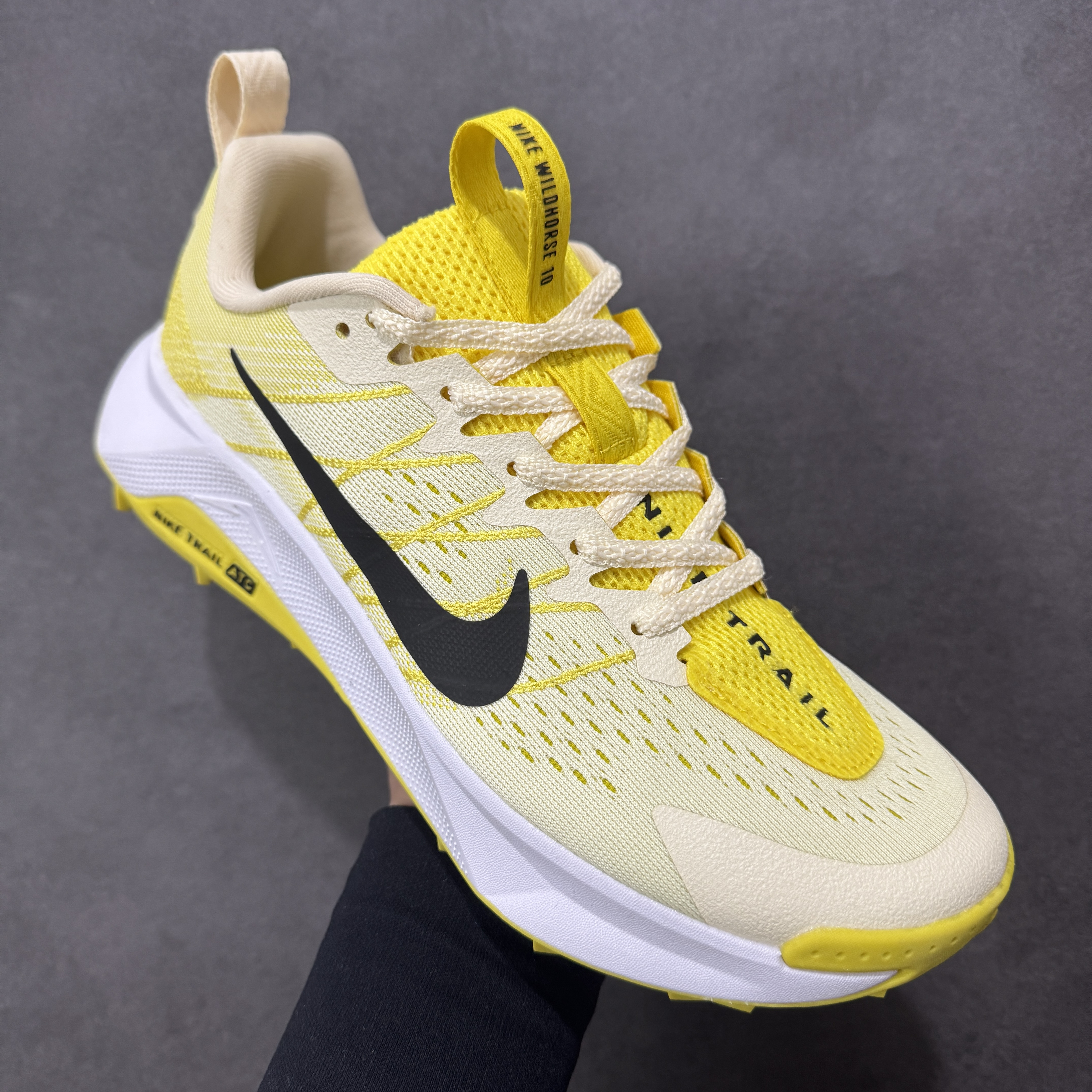 Nike Wildhorse 10 FV2338-700