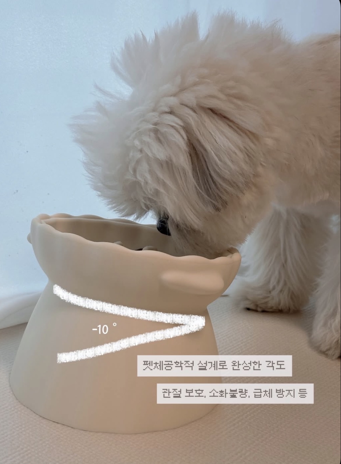 韓國🇰🇷 狗狗造型慢食碗set