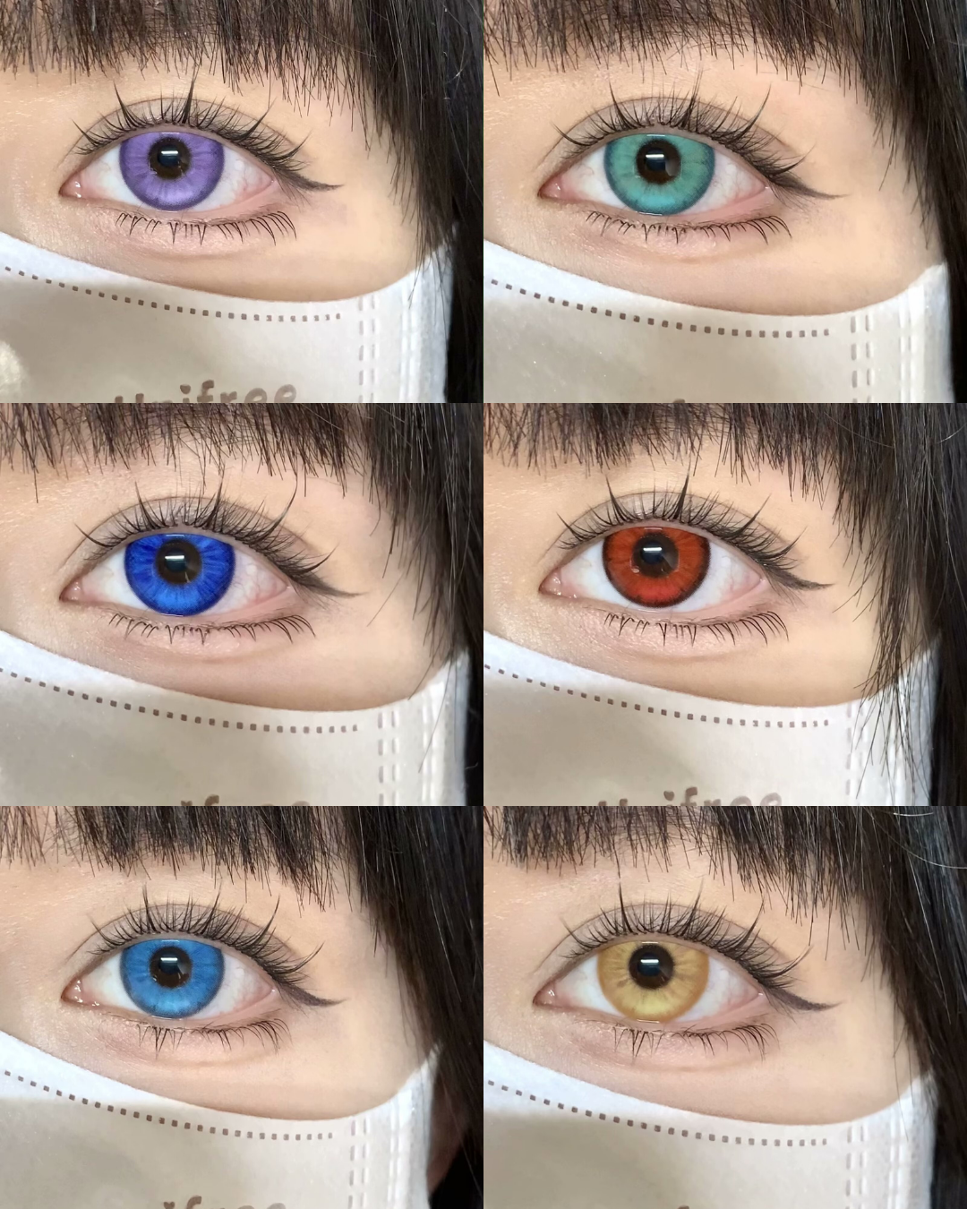 Apricotcon 日拋2片 蝴蝶蘭系列