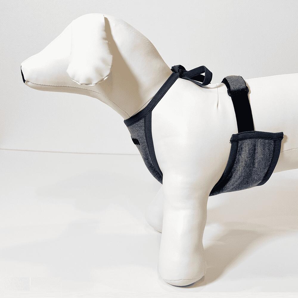 日本 RKLwan 狗狗 促進血液循環 延長壽命護理輔助用品 SPAORE成分 平行進口