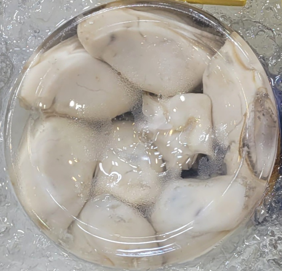 冰鮮 台山蠔肉 (熟食用🔥🥘)