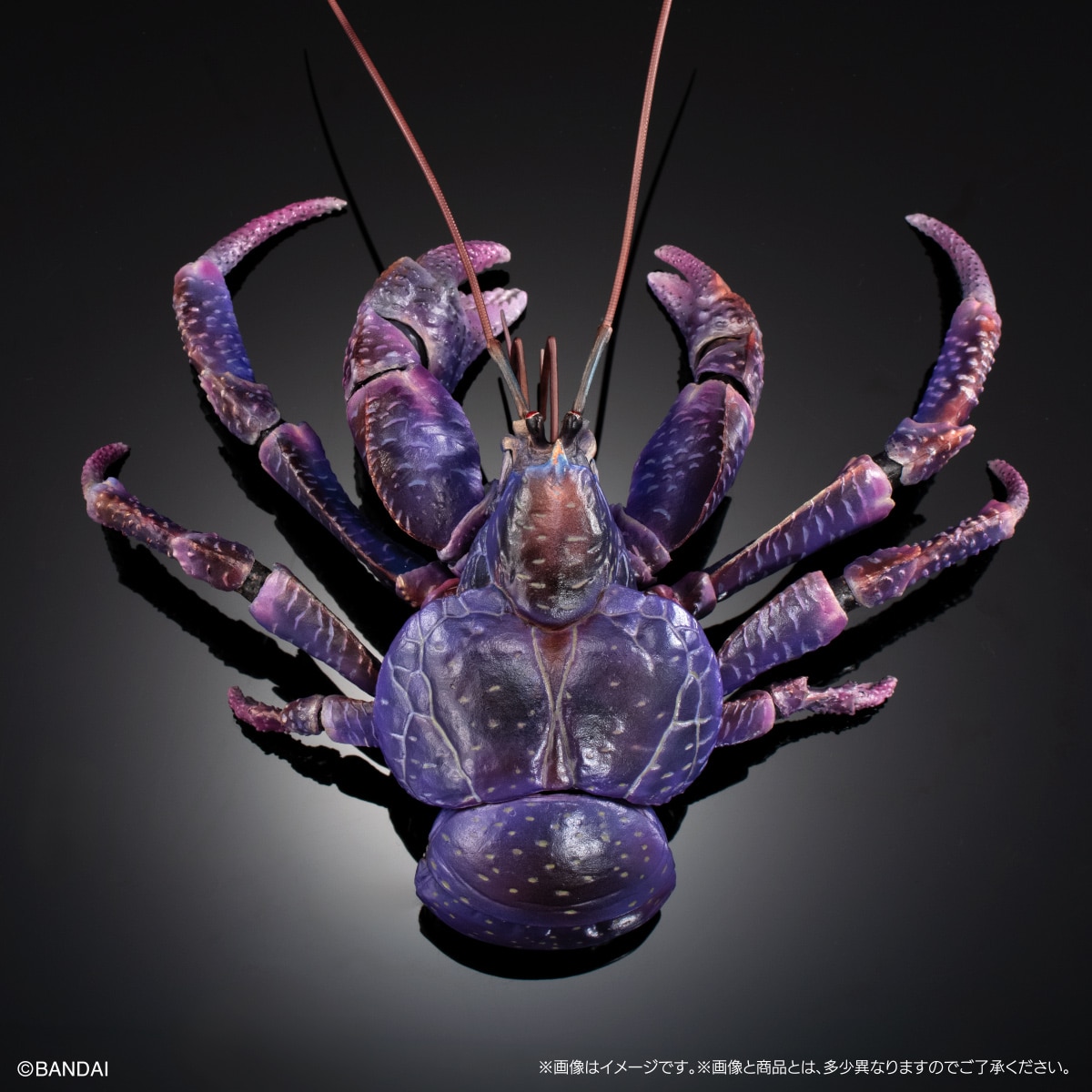 (預訂訂金 $200) (總價 $471) (Gashapon Online 限定) Bandai 生物大圖鑑 Premium 椰子蟹 (紫色) 扭蛋 (行版) Birgus Latro (Purple Color)