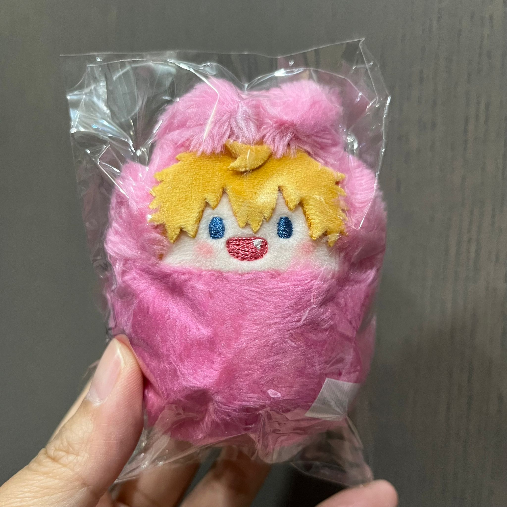 【微量現貨】地縛少年花子君 襁褓娃 源光