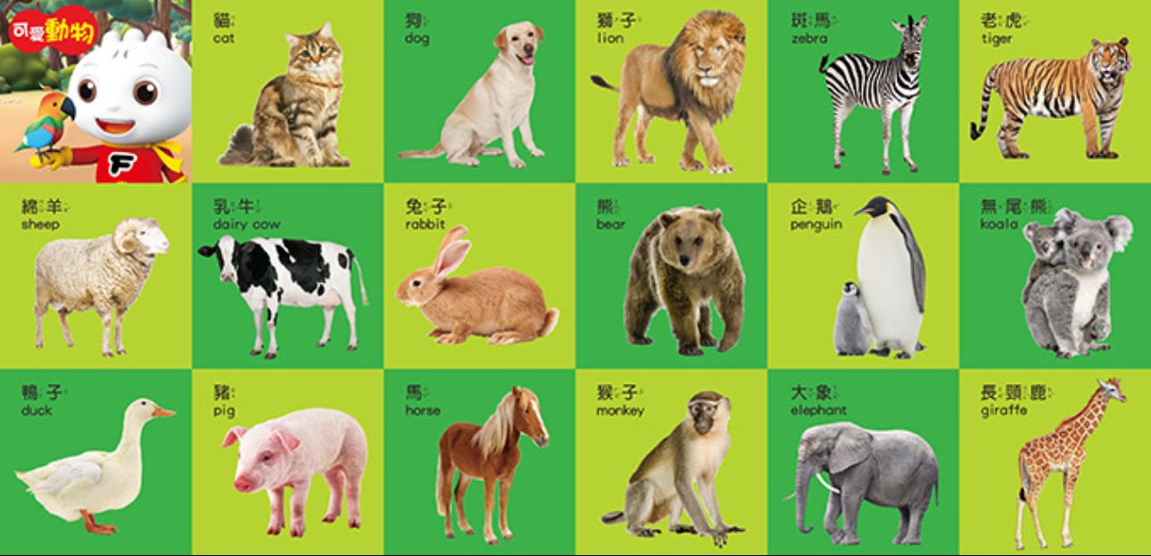 📚預訂 台灣直送📚FOOD超人幼兒認知大圖鑑