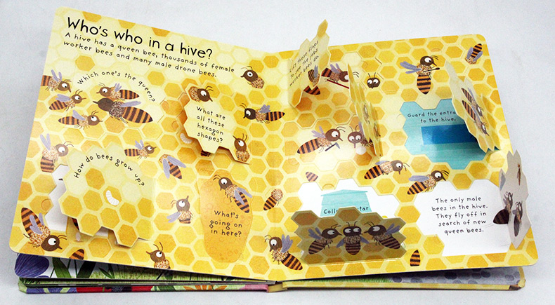 Usborne First Questions and Answers系列翻翻書 Why Do We Need Bees 為什麼需要蜜蜂